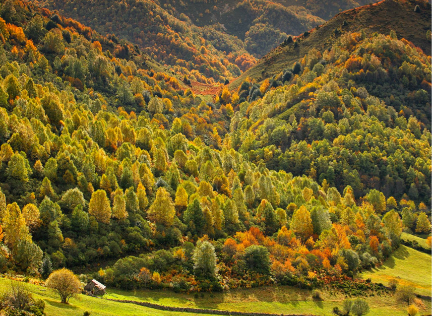 Catorce sorpresas asturianas